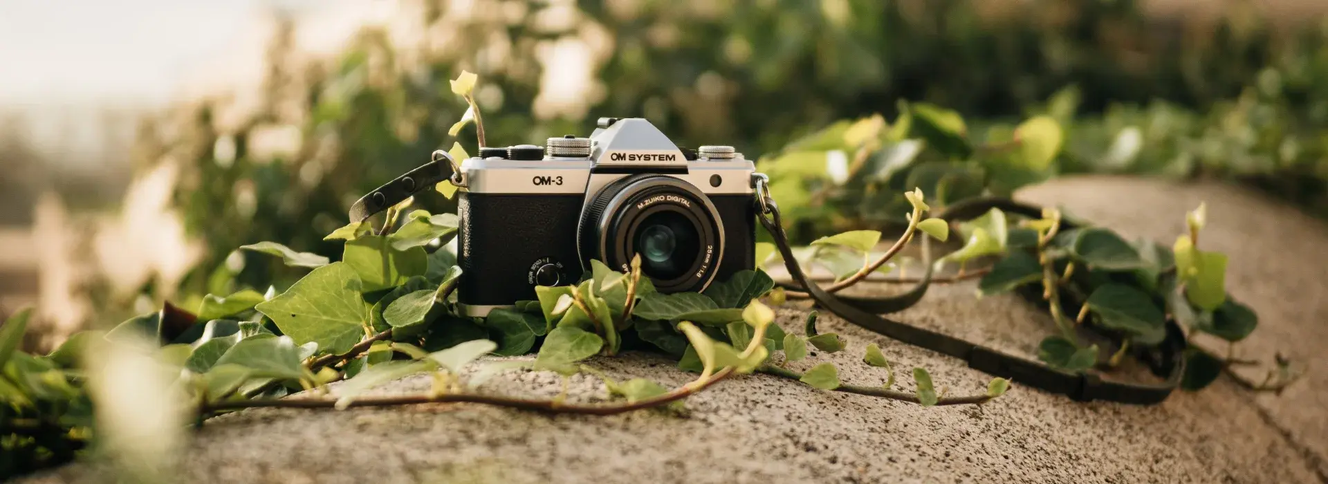 Photo of a om-3 and 25mm lens on a round concrete block