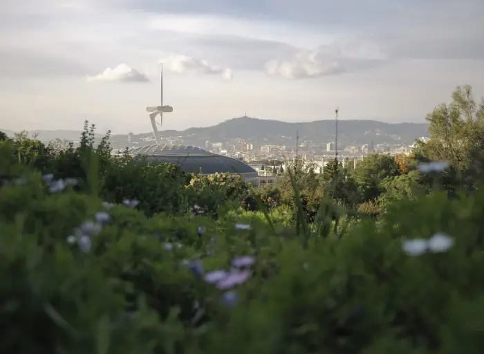 A high-res shot with meadow in the foreground and city off in the background shot with OM SYSTEM OM-3.