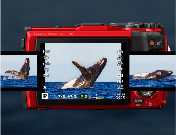 Pro Capture Mode