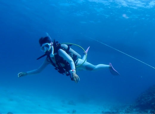 Underwater Snapshot